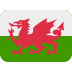 Welsh Flag